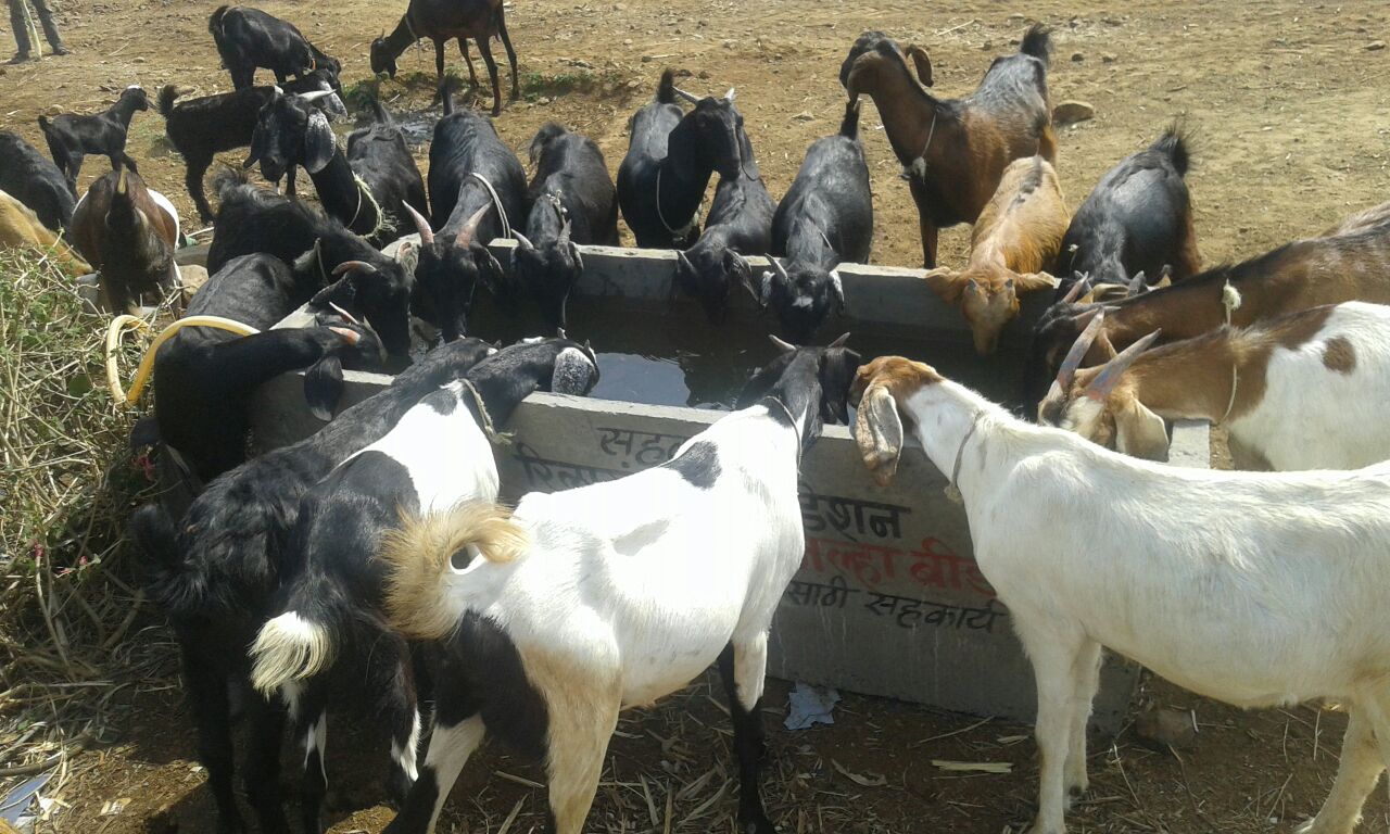 OUR IMPACT img 20160515 wa0010