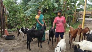 Livelihood oplus 262144